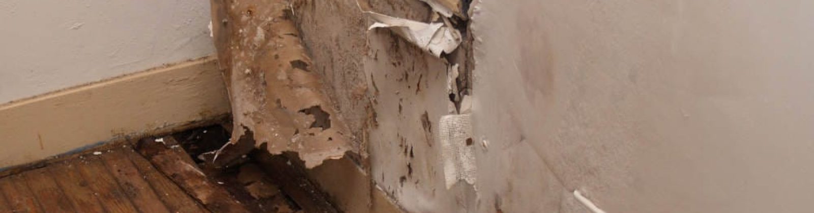 What You Need to Know About Lead Paint | Tri Span Hazard Cleanup